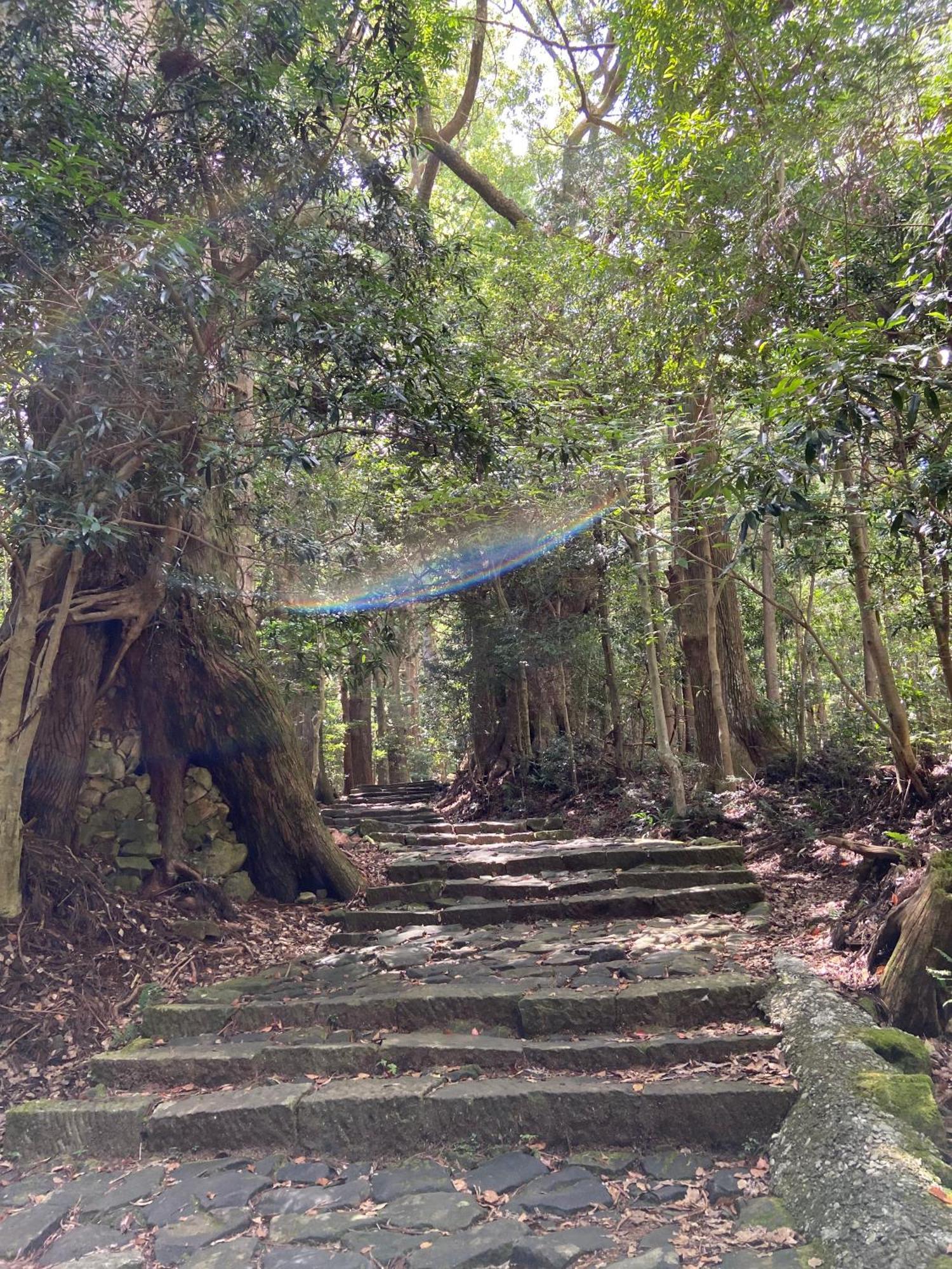 癒し宿 かぐら Kushimoto Exterior foto